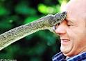 Ian Renga's Page - Comedy