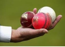 Image result for Biddenham Cricket Club