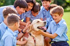 Image result for Papplewick