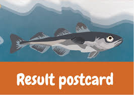 Image result for Boreogadus saida