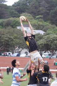 Image result for Wellington Rugby Football Club Limited