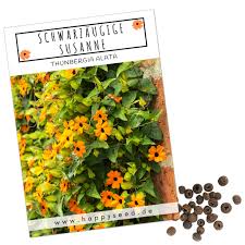 Image result for schwarzäugige Susanne