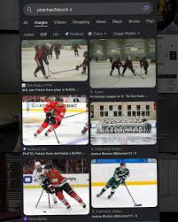 Image result for Piranhas Inline Hockey Club