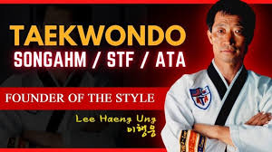 Image result for Reading Wtf Taekwondo