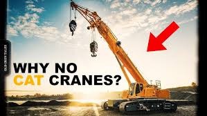 Image result for dipperfox tehron