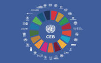 Home Page | United Nations - CEB