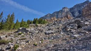 Image result for Boom Hill