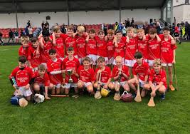 Image result for St Paul`s Gaelic Football Club