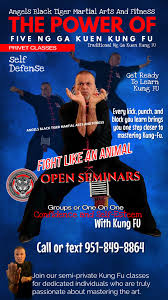Image result for Chat Ying Kuen Kung Fu Club