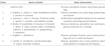 Attēlu rezultāti vaicājumam “Leiocolea heterocolpos”