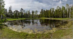 Image result for Grendon Lakes, Northants