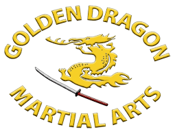 Image result for Dragon Wushu Club