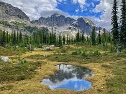 Image result for Leek Park B C