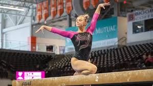Image result for Thornton Sport Gymnastics