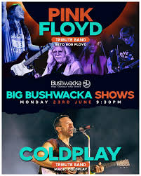 Image result for Blaenafon Barracudas Sc