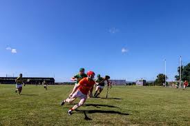 Image result for Moycarkey-Borris Gaa Club