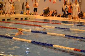 Image result for Stevenage Swimming Club