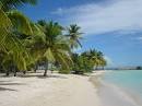 rush's Guadeloupe Surf in