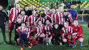 Image result for Hambro Colts Y F C