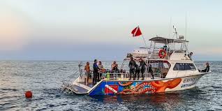 Image result for Exe To Sea Diving