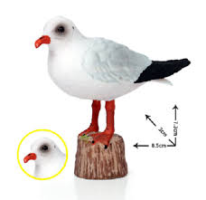 Attēlu rezultāti vaicājumam “Larus ridibundus”