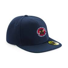 Image result for Shenley Village Cricket Club