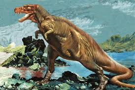 Image result for Imagini tehron