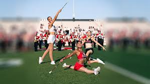 Image result for Fusion twirlers