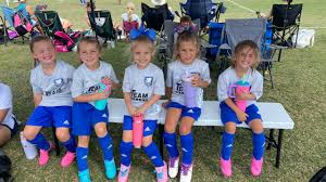 Image result for Ascension Badminton Club