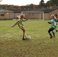 Image result for Alderbury Football Club