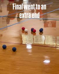 Image result for Well Being and Leisure Team (Boccia)