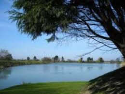 Image result for Reigate & District Angling Association