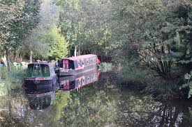 Image result for Hemel Hempstead Canoe Club