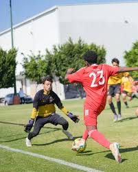 Image result for Phoenix Youth Sc