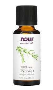 Image result for Ysop