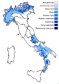 Attēlu rezultāti vaicājumam “Xylographa paralella”