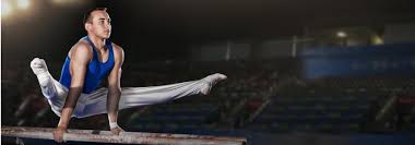 Image result for Elements Acro