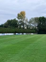 Image result for Wem Cc