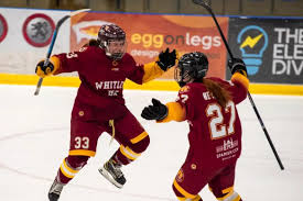 Image result for Cardiff Comets Ladies Ice Hockey