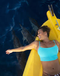 Image result for Dolphin Sub Aqua