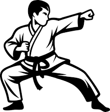 Image result for Action Karate