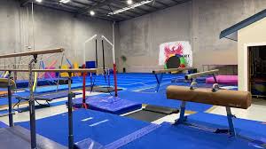 Image result for Phoenix Gymnastics Club