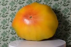 Afbeeldingsresultaat voor mortgage lifter bicolor strain tomato