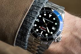 Image result for GMT watch
