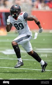 Image result for Sutton Vipers