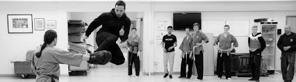 Image result for Shaolin Nam Pai Chuan Kung Fu - Manchester Martial Arts Centre