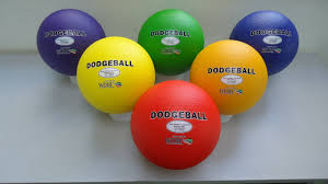 Image result for The Dodgeball Company