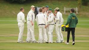 Image result for Saffron Walden Cricket Club