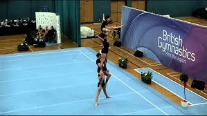 Image result for Monarchs Sports Acrobatics Club