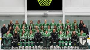 Image result for Reddish Green Ladies Hockey Club